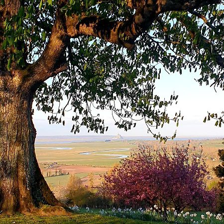 L'Abrincat'Studio, Centre Entre Donjon Et Vue Mont Αβράνς Εξωτερικό φωτογραφία